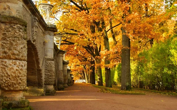 Solig oktober morgon och en promenad i Catherine Park — Stockfoto