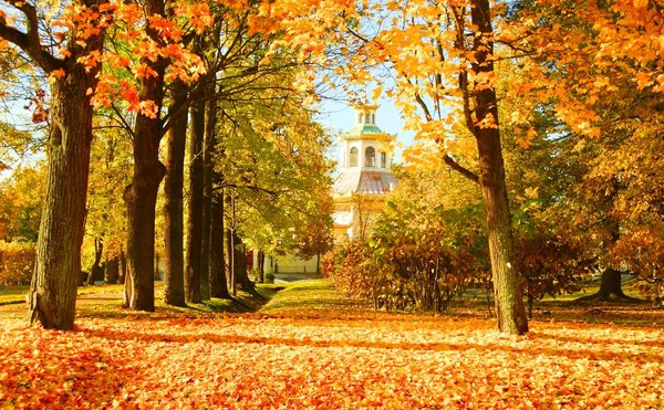 Güneşli bir Ekim sabahı ve Alexander Park 'ta yürüyüş.