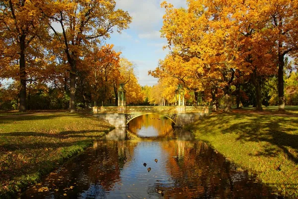 Słoneczny Październikowy poranek i spacer po Alexander Park — Zdjęcie stockowe
