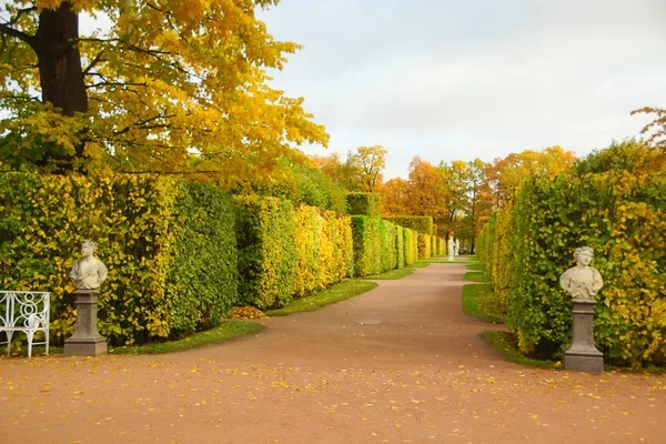 Solig oktober morgon och en promenad i Catherine Park i Tsarskoye Selo — Stockfoto