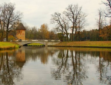 Kasvetli Ekim sabahı ve Pavlovsky Parkı 'nda yürüyüş, Peel Tower