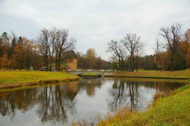 Kasvetli Ekim sabahı ve Pavlovsky Parkı 'nda yürüyüş, Peel Tower