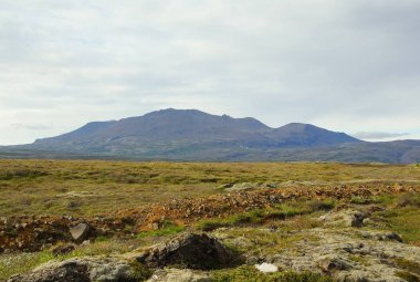 İzlanda 'nın güneyinde yaz güneşli bir gün