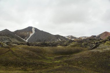 Serin bir İzlanda yazı sabahı