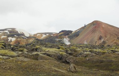 Serin bir İzlanda yazı sabahı