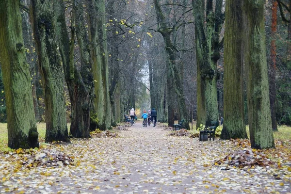 Gloomy October evening and a walk in Pavlovsky Park — Stock Photo, Image