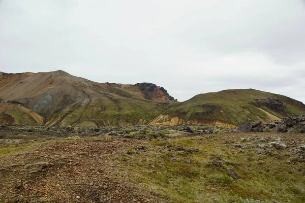 A cool summer Icelandic morning — 스톡 사진