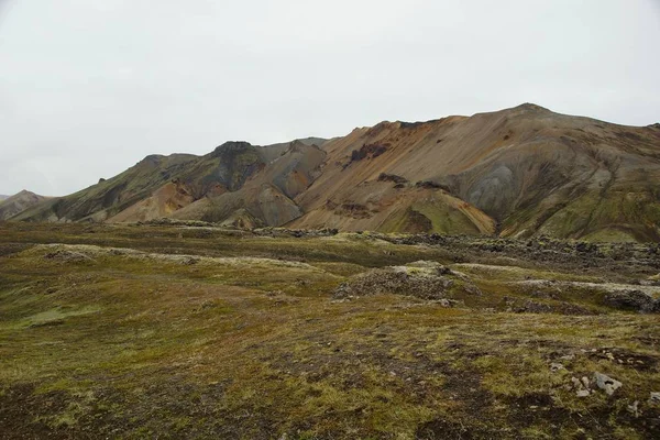 Un été frais matin islandais — Photo