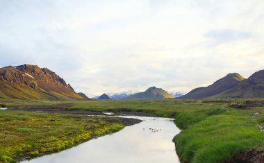 Dağ gölünün güzel manzarası Alftavatn