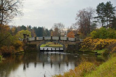 Kasvetli sonbahar sabahı ve Pavlovsky parkında yürüyüş, Viscontiev Köprüsü