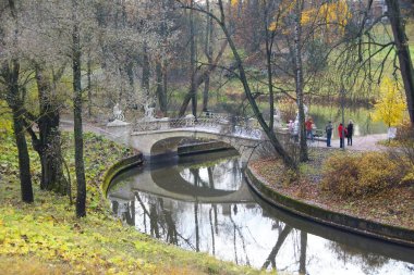 Kasvetli Ekim sabahı ve Pavlovsky Parkı 'nda yürüyüş