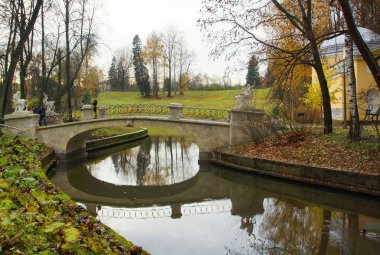 Kasvetli Ekim sabahı ve Pavlovsky Parkı 'nda yürüyüş