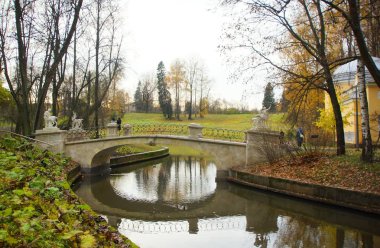 Kasvetli Ekim sabahı ve Pavlovsky Parkı 'nda yürüyüş
