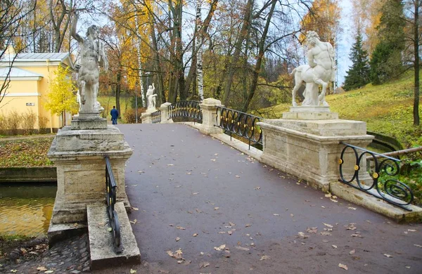 Kasvetli Ekim sabahı ve Pavlovsky Parkı 'nda yürüyüş — Stok fotoğraf