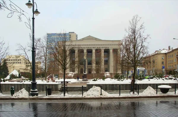 Vista Della Città Del Centro Passeggiata Invernale Architettura Della Capitale — Foto Stock