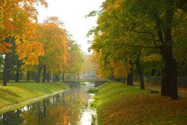 Ilık sonbahar güneşli bir akşam ve Tsarskoye Selo 'daki Alexander Park' ta yürüyüş.