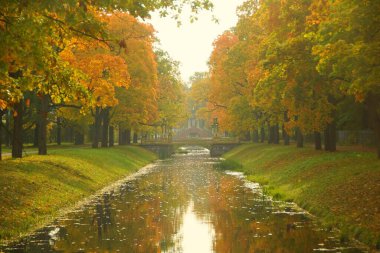 Ilık sonbahar güneşli bir akşam ve Tsarskoye Selo 'daki Alexander Park' ta yürüyüş.