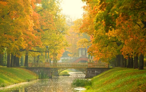 Cálida Tarde Soleada Otoño Paseo Por Alexander Park Tsarskoye Selo —  Fotos de Stock