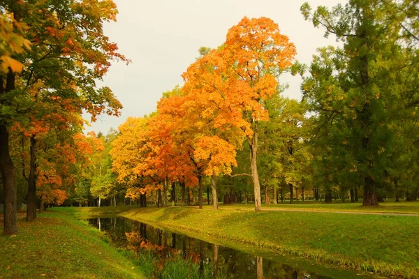 Ciepły Jesienny Słoneczny Wieczór Spacer Alexander Park Carskim Selo — Zdjęcie stockowe