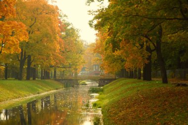 Ilık sonbahar güneşli bir akşam ve Tsarskoye Selo 'daki Alexander Park' ta yürüyüş.