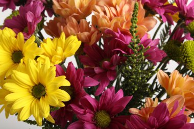 Güzel bir buket çiçek, yakın çekim.