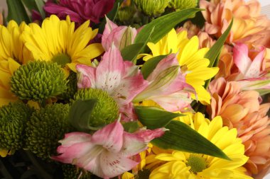 güzel renkli bahar çiçekleri