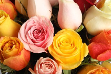 Güzel bir buket gül, yakın çekim manzarası