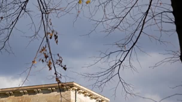 Quadriga av Brandenburger bakom grenar och blad i Berlin, Tyskland — Stockvideo