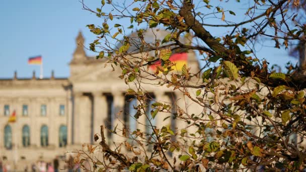 Política alemana: El edificio del Reichstag detrás de un árbol en Berlín, Alemania — Vídeos de Stock