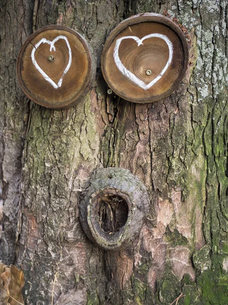 Love Nature Concept: Tree With Hearts As Eyes