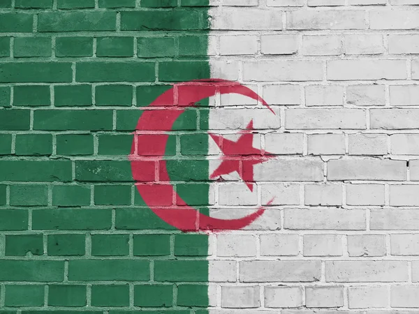 Algeria Concetto politico: Muro della bandiera algerina — Foto Stock