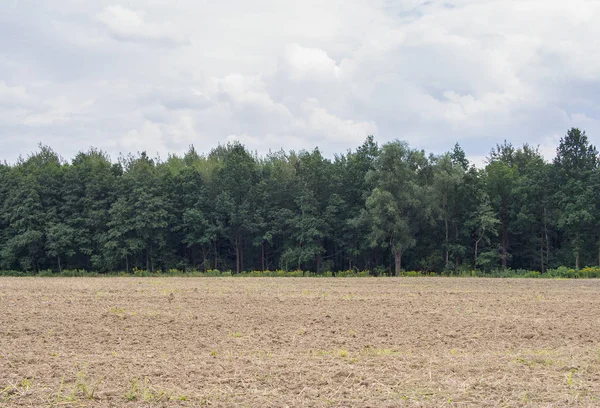 Campo na beira de uma floresta com um céu nublado em Jelenia Gora — Fotografia de Stock