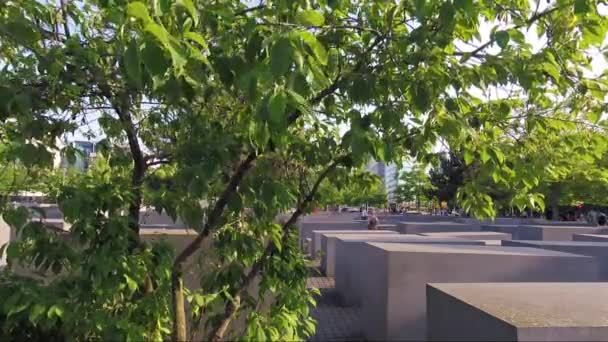 Дерево у мемориала убитым евреям Европы в Берлине, Германия — стоковое видео