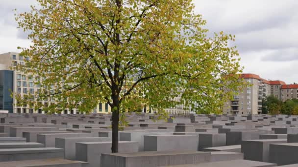У мемориала убитым евреям Европы в Берлине, Германия, Пан Шот — стоковое видео