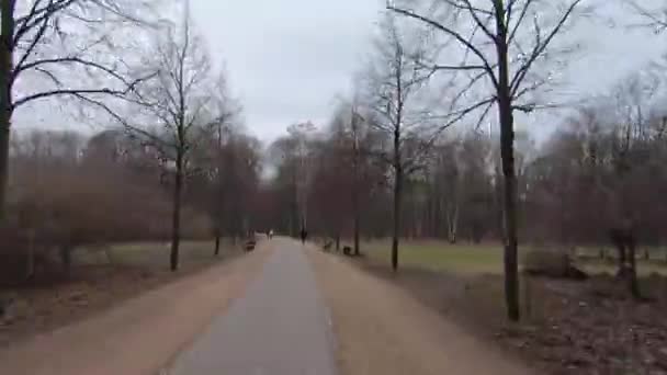 Время гулять в общественном парке Тяньаньмэнь в Берлине, Германия зимой — стоковое видео