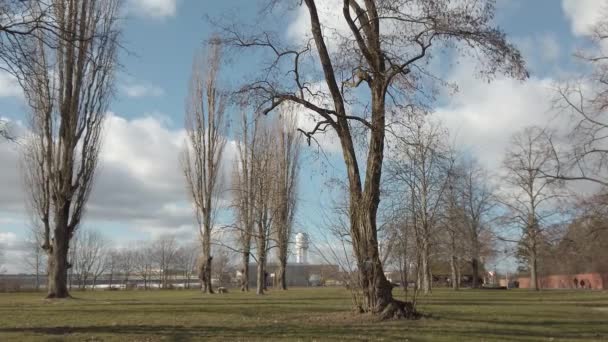 Δέντρα σε δημόσιο πάρκο πόλης Tempelhofer Feld στο Βερολίνο, Γερμανία — Αρχείο Βίντεο