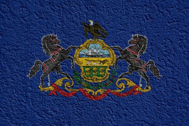 Bize devlet politika veya iş kavramı: Pennsylvania bayrak duvar sıva, doku ile