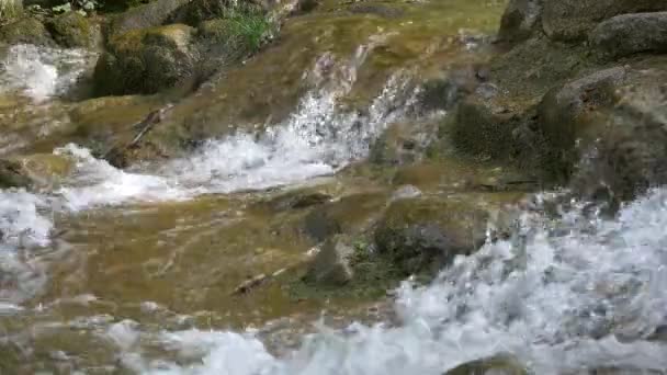 Gros plan de la petite cascade avec des rochers mousseux — Video