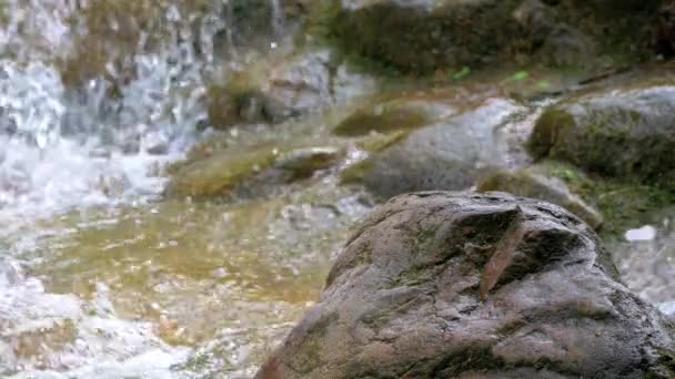 Primer plano de cascada pequeña con rocas musgosas — Vídeos de Stock