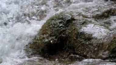 Yosunlu Kayalarla Küçük Şelalenin Yakın Çekim