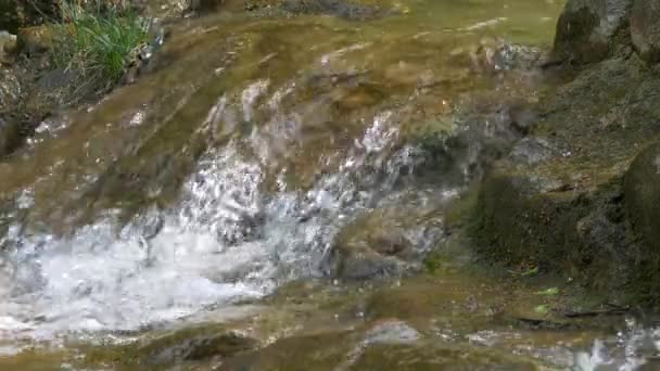 Gros plan de la petite cascade avec des rochers mousseux — Video