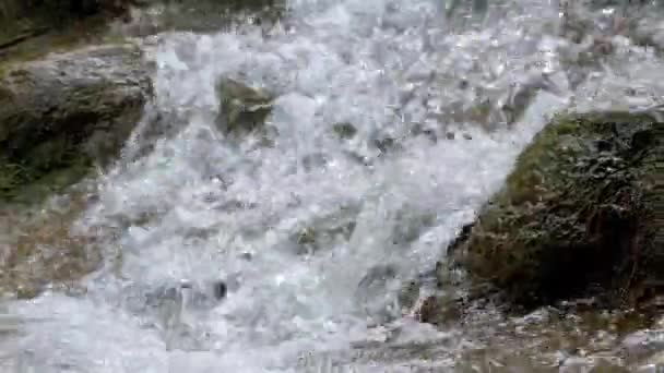 Close-up de pequena cachoeira com rochas musgosas, Pan Shot — Vídeo de Stock