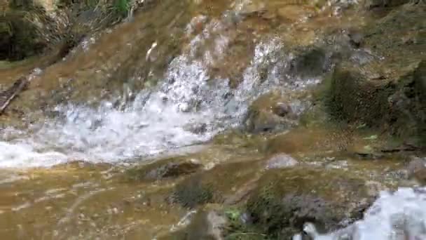 Primer plano de cascada pequeña con rocas musgosas, alejar — Vídeos de Stock