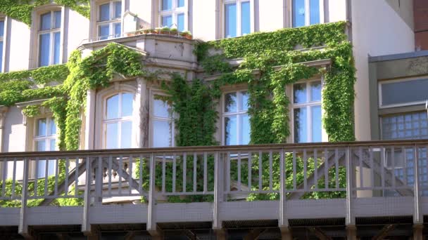 Train de métro jaune BVG U-Bahn devant une maison avec des plantes grimpantes — Video