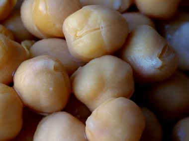 Islak Sarı Nohut Makro Yakın Çekim, Cicer arietinum