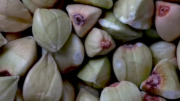 Macro close-up van boekweit zaden, Fagopyrum esculentum, uitzoomen — Stockvideo