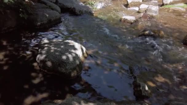 Klippor i en snabb strömmande flod — Stockvideo