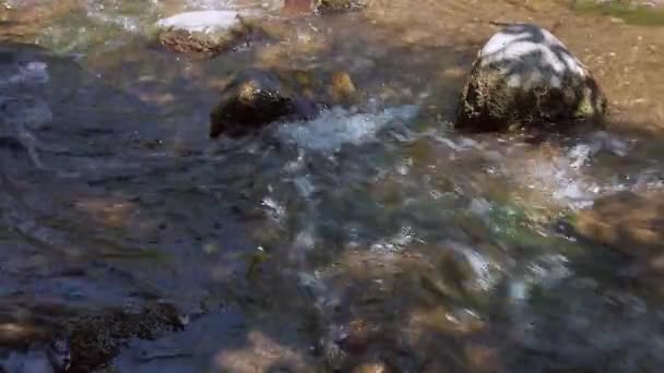 Klippor i en snabb strömmande flod — Stockvideo
