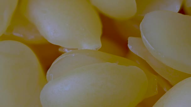 Macro close-up van gele zuivere biologische bijenwas granulaat pellets, pan shot — Stockvideo
