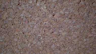 Dönen Mantar Panelinin Yakın Çekim